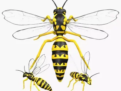Wasp Hornet Low-poly 3D model