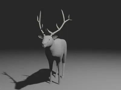Elk  the big deer 3D model