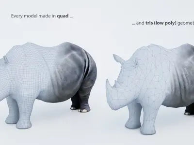 102 Animals Ultimate Collection 3D model