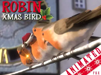 Robin 3D model