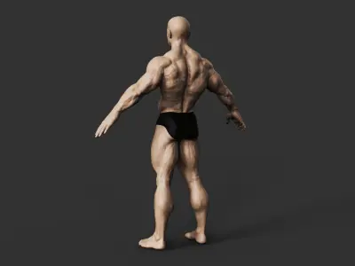 Bodybuilder 3D print model order
