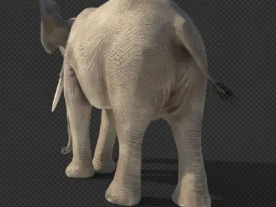 elephant with tusks Low-poly 3D model purchase