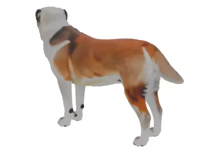 Alabai Dog Low-poly 3D model