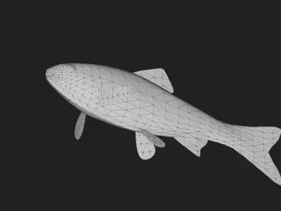 Carp fish Low-poly 3D model
