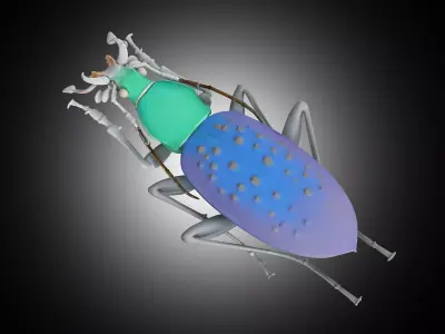 Insect 3D model buy