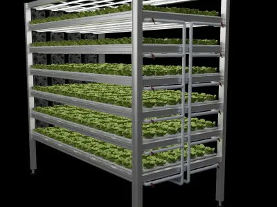 Vertical farm hydroponic 3D model