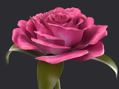 Rose  purchase 3D model