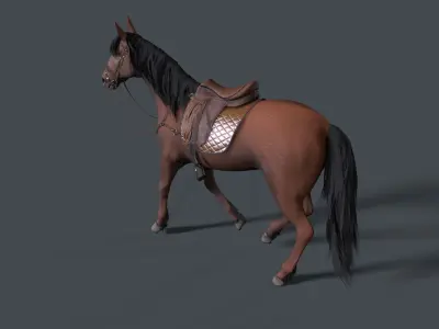 horse Low-poly 3D model 16