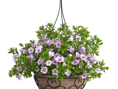 Petunia Hanging Basket Light Purple 3D model