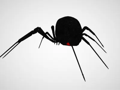 Black Widow Low-poly 3D model purchase