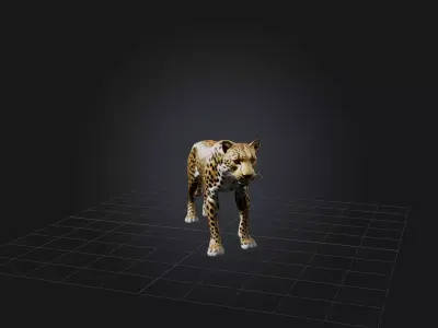 Realistic Leopard Model Low-poly 3D model