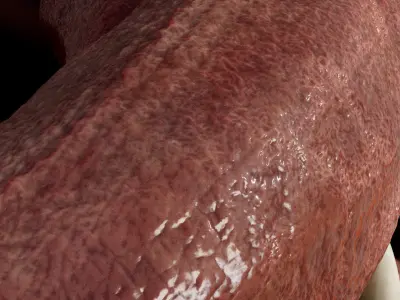  HQ 8K Monster Mouth 