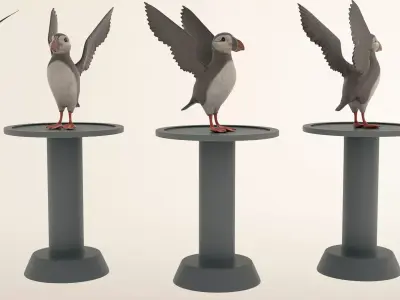 Puffin bird 3D model purchase