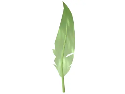 Feathers v1 004 Low-poly 3D model
