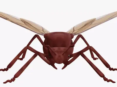 Ant with Wings Low-poly 3D model