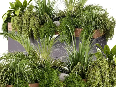 Indoor plant- 20 metall  and wooden in box on stand 3D model