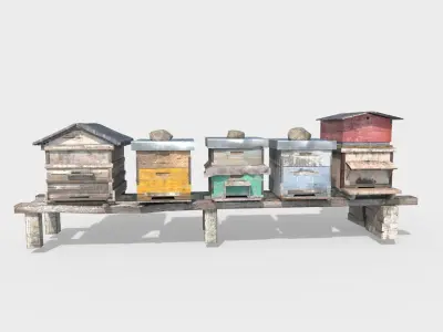 Old Bee Hives 3D model