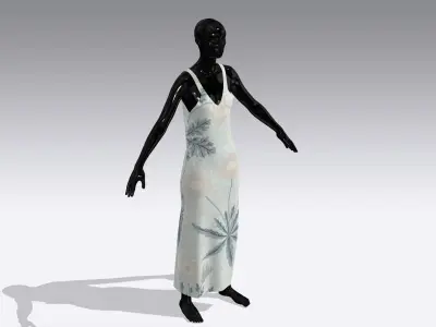 Woman Cloth Dress Low-poly 3D model