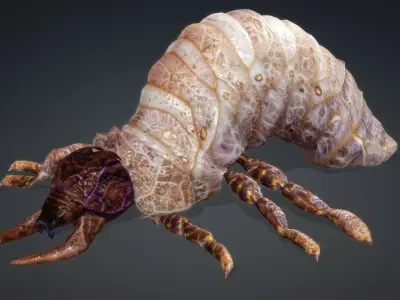 Larval-V1b 3D model