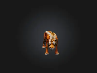 Realistic Tiger Low-poly 3D model