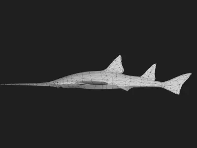 Knifetoothsawfish Low-poly 3D model
