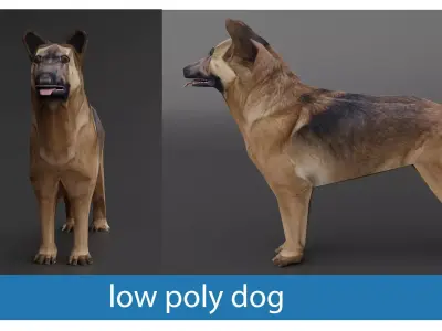 low poly dog model - ready for game  Low-poly 3D model