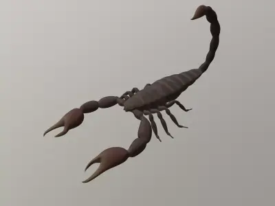 Scorpion 3D model shop