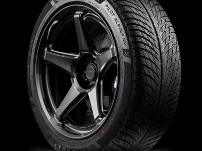MICHELIN Pilot Alpin 5 275 45 R21 113V 3D model