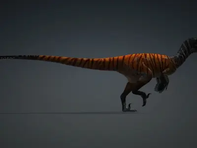 Austroraptor dinosaur 3D model type of dinosure Free 3D model