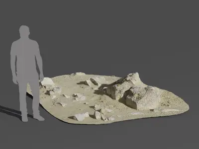  Large Scattered Beach Rock Model 