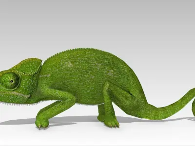 Chameleon Low-poly 3D model purchase