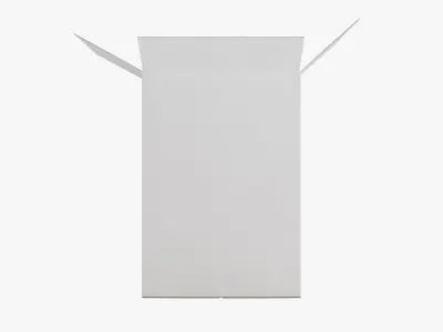 Large Packaging Box 2 3D model
