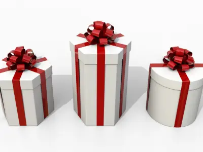 Gift Boxes - Round and Hexagon Trio with Tied Ribbon Rosette 3D model