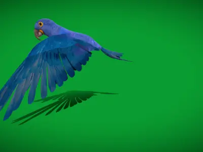 Hyacinth Macaw Parrot Low-poly 3D model