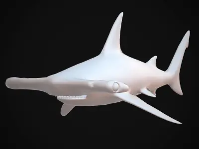 Hammerhead Shark Low-poly 3D model 3