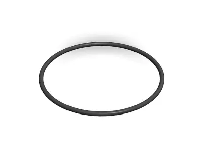 O Ring Vedabras 12866 3D model