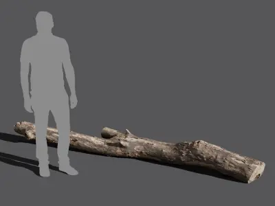  Large Split Bare Log Model 