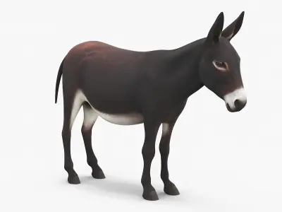  Working Donkey Standing Dark Brown 