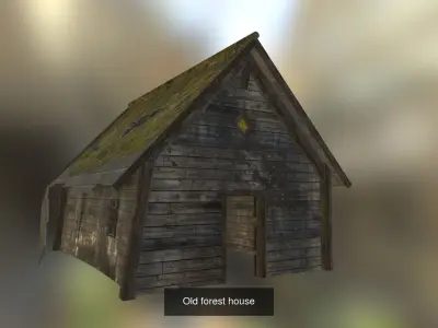 Old forest buildings 3D Model Pack purchase
