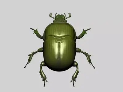 Beetle 3D model order