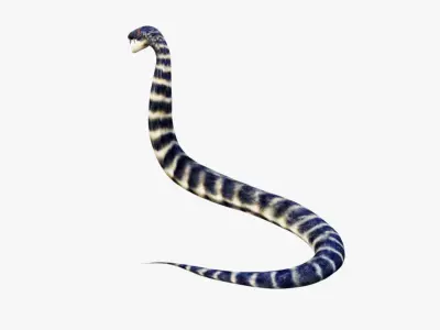 Snake Free 3D model 4