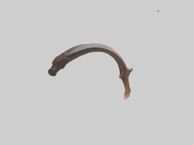 Moose Rib Low-poly 3D model