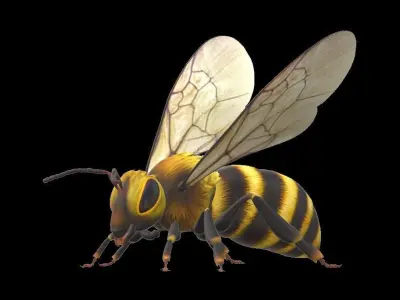 Bumble Bee Contrete Mixer Low-poly 3D model