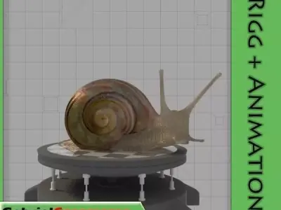 Snail 3D model 4