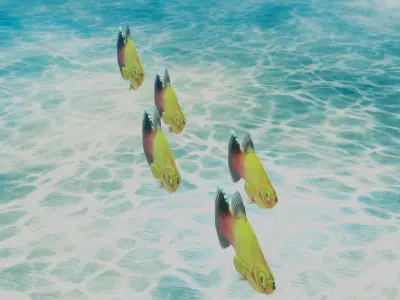 Platy Fish Free 3D model