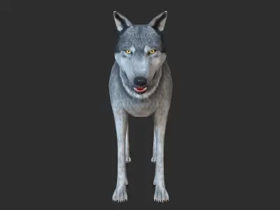 Wolf 3d model Low-poly 3D model