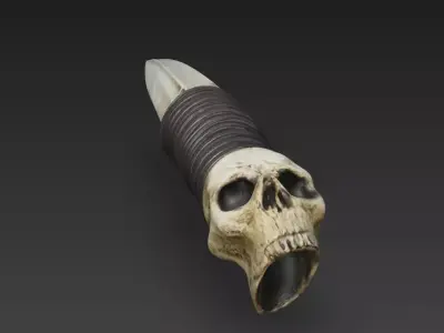 Bone Dagger of the Necromancer  Skull Pommel Ritual Knife 3D model