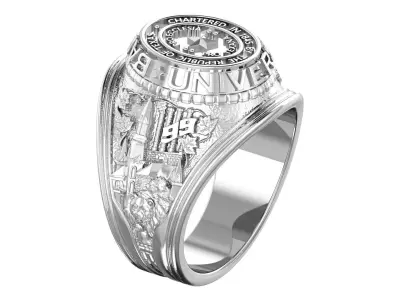 Champion Ring 3D print model