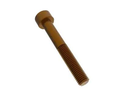 SOCKET HEAD CAP SCREW M7  LENGTH-50mm 3D model