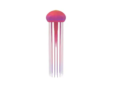 Jellyfish 3D model shop